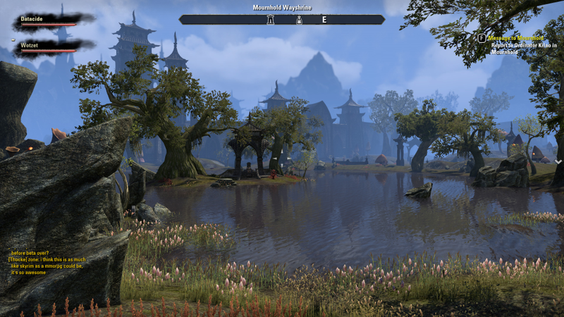 Illustration for article titled A Few Pictures Of The Last Day Of The Elders Scrolls Online Beta